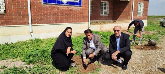 کاشت نهال در محوطه کتابخانه شهدای دشت عباس با حضور شهردار محترم و جمعی از همکاران